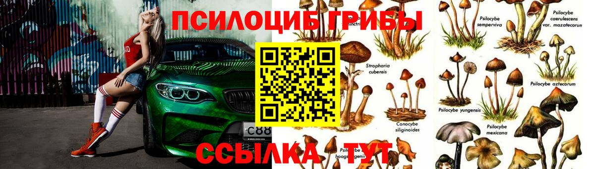 Семилуки  Галлюциногенные грибы GOLDEN TEACHER  Вход с VPN  Галлюциногенные грибы мухоморы 